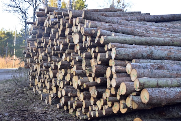 Photo a pile of logs from the forest service are stacked on the ground.