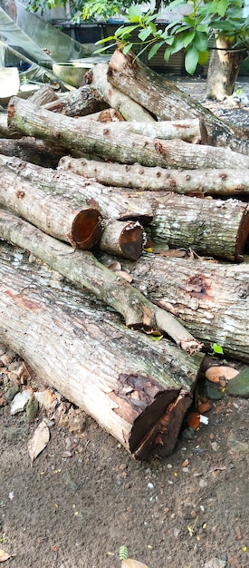 A pile of logs that are cut down