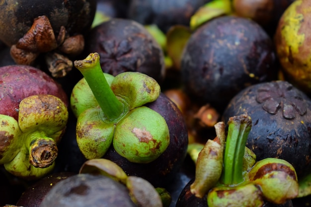 Un mucchio di mangostano che vende in un mercato