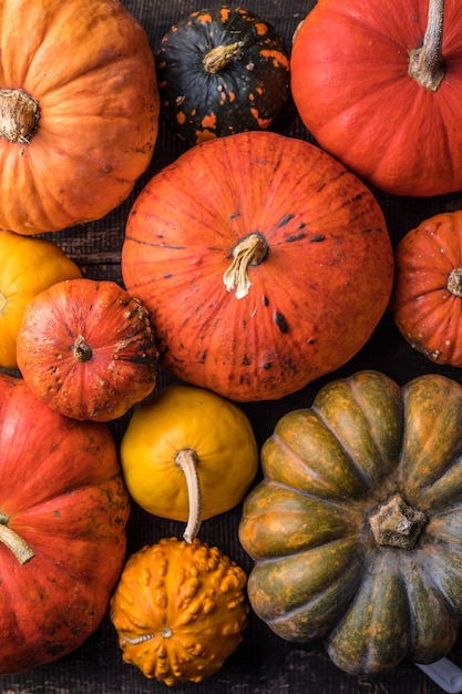 Pile of many multi colored pumpkins and gourds of different shapes and colors. Different kinds Colorful pumpkins decoration