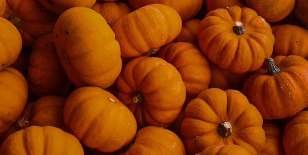 A pile of mini pumpkins in a store