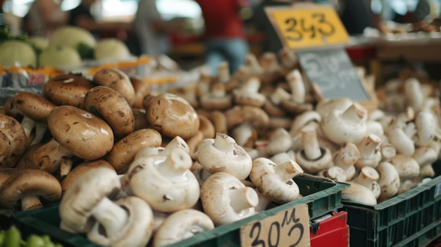 A Pile of Mushrooms on a Table