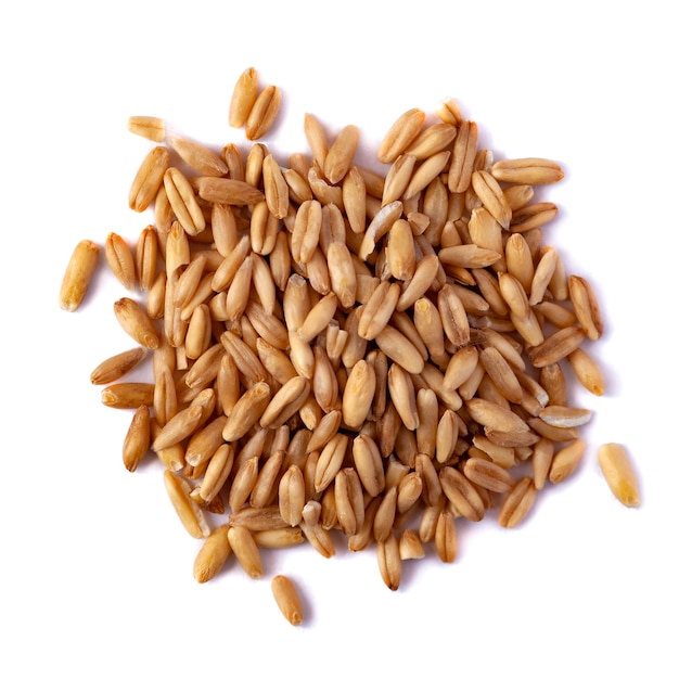 a pile of oat seeds isolated on white background. top view