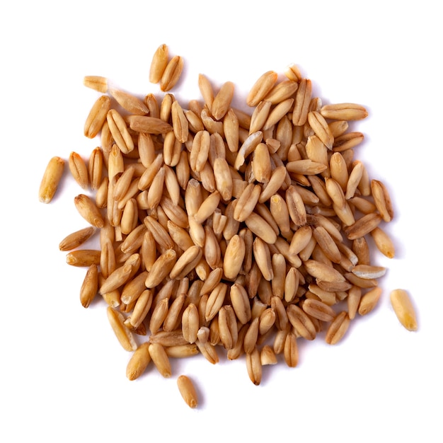 A pile of oat seeds isolated on white background. Top view