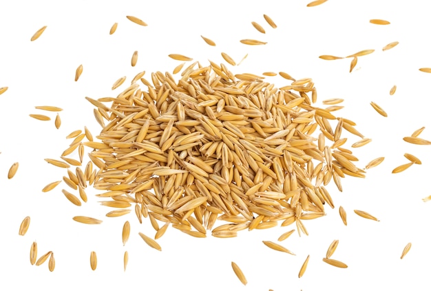 Pile of oat seeds isolated on white, Top view