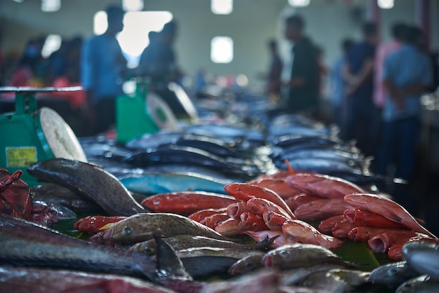 사진 전통적 인 해산물 시장 에 있는 상점 에서 판매 되는 신선 한 물고기 들 의 어리