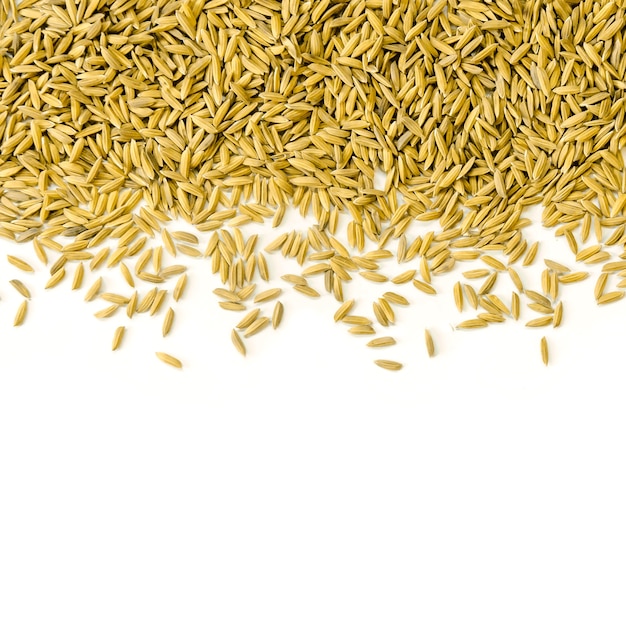 Фото Куча рисового риса и рисового семени на белом фоне