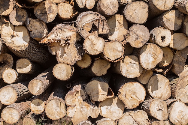 Pile of old firewood for background