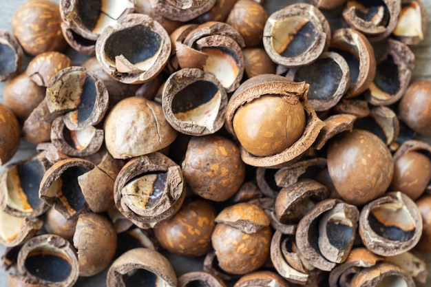 Pile of peeled organic Macadamia nuts on wooden table