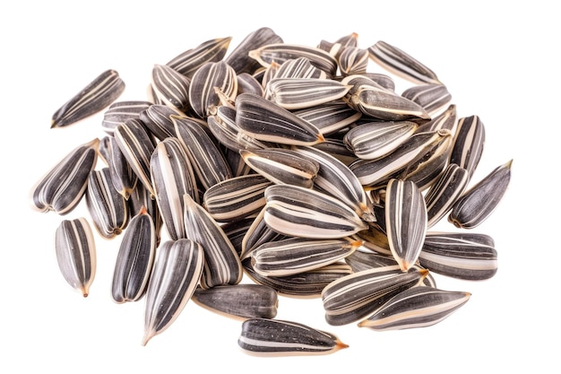 Pile of peeled sunflower seeds