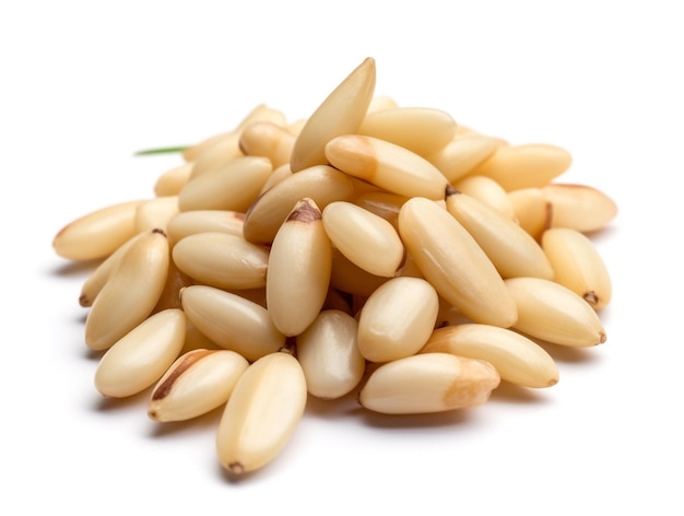 A pile of pine nuts on a white background.