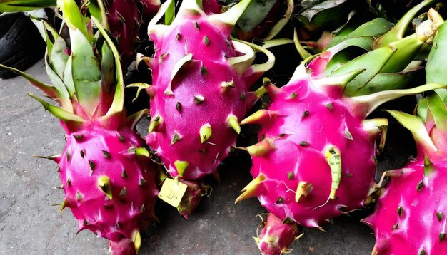 緑の葉を持つピンクの花の山