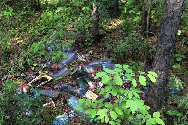 A pile of plastic bottles thrown away by people in the forest The concept of ecology and environmental pollution