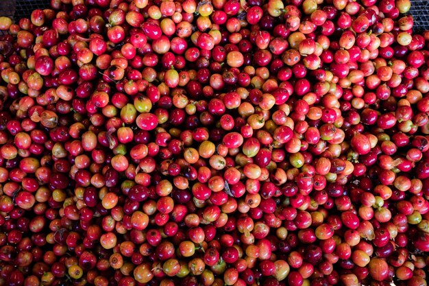 a pile of pomegranates with the name of the company