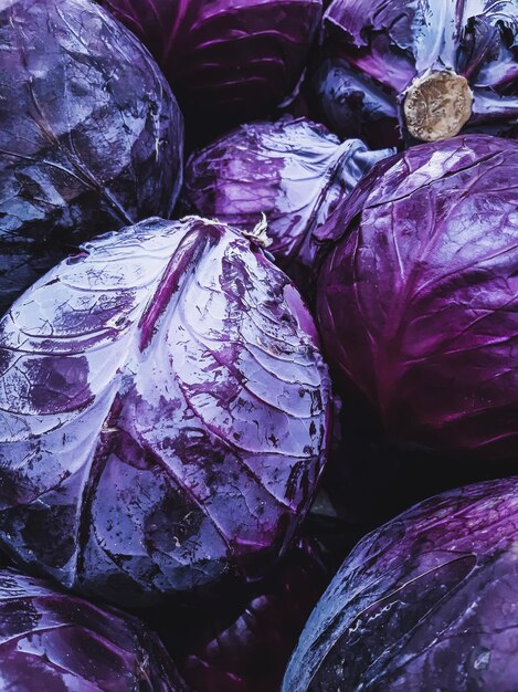 A pile of purple cabbages with the word purple on the side