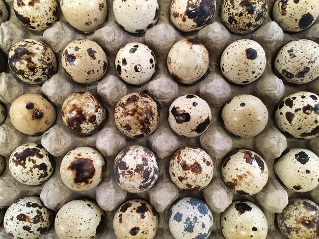 Pile of quail eggs in the market