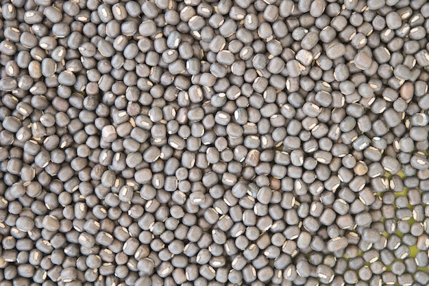 Pile of raw lentils legume type