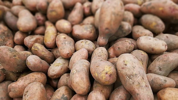 Foto mucchio di patate crude nel mercato alimentare patate crude fresche background