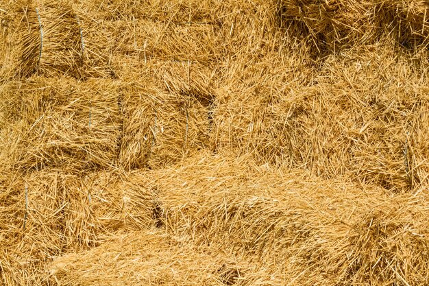 Pile of the rectangular straw bales for the background