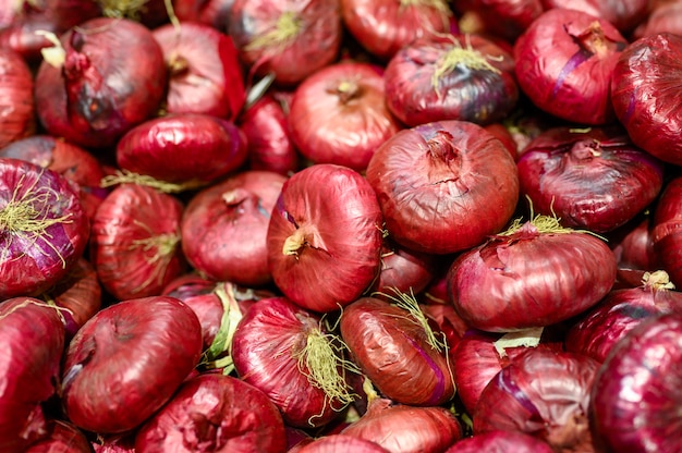 Un mucchio del fondo delle cipolle rosse