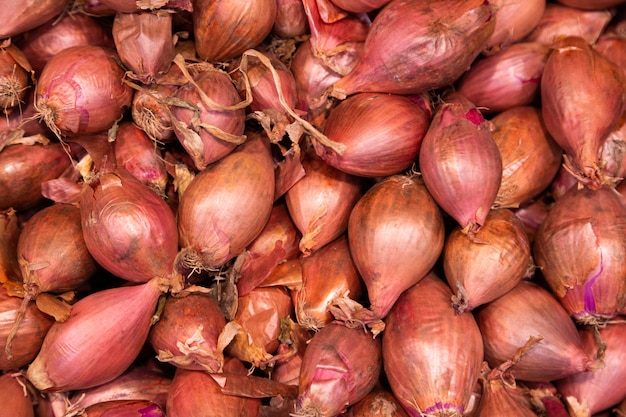 Pile of red organic onions in husk, may be used for background