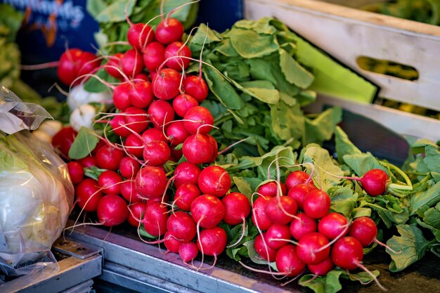 Pile of red radishes sitting on top of pile of lettuce