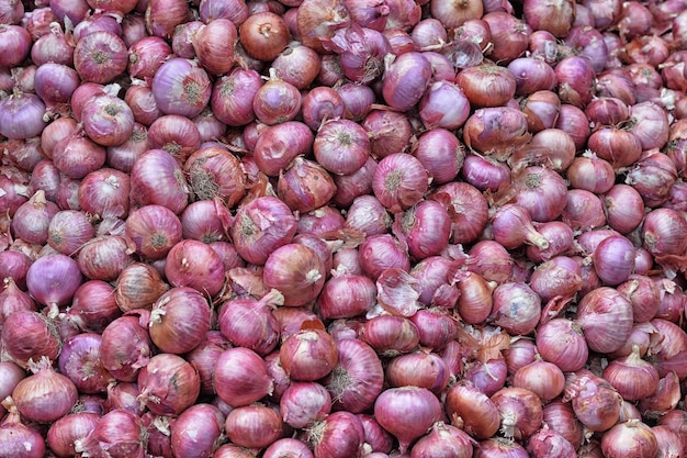 Pile of ripe onions