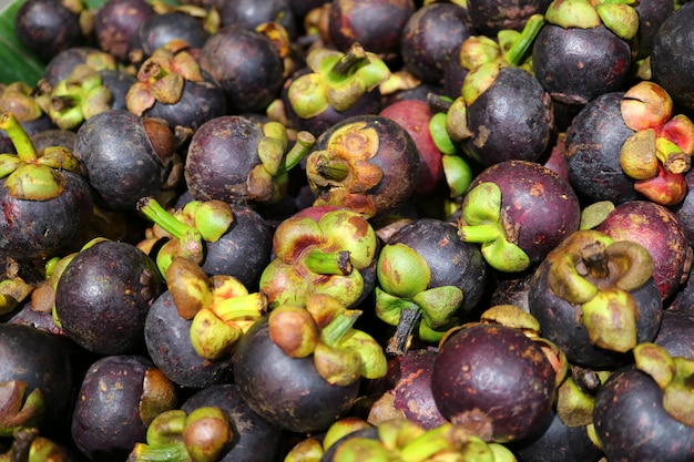 Pile of Ripe Purple Mangosteen Fruits with Green Stems for Background