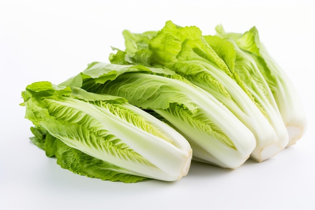 A pile of romaine lettuce on a white background