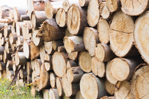 Pile of sawn logs waiting for transportation in forest