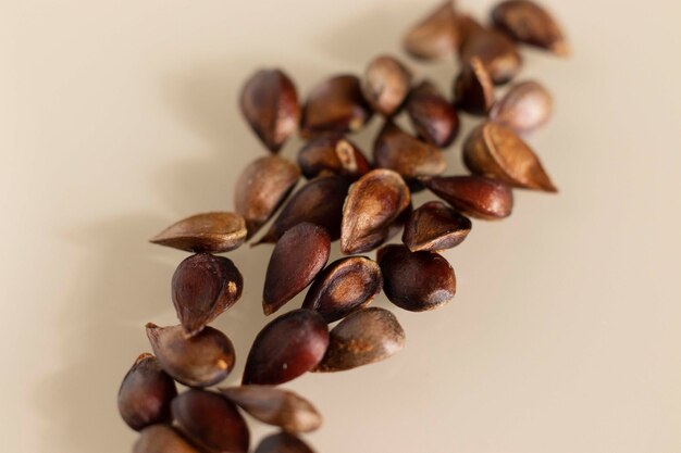 A pile of seeds on a table