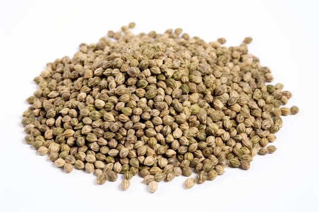 a pile of seeds that are on a white background