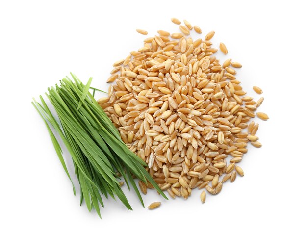 Pile of seeds and wheat grass on white