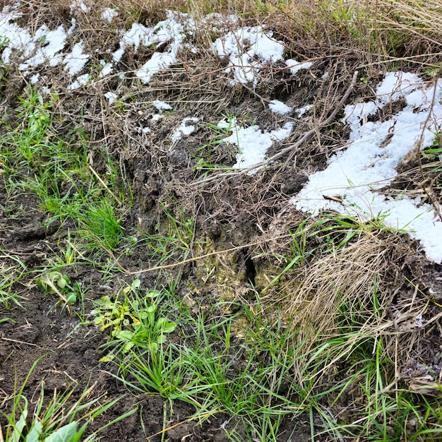 Photo a pile of snow