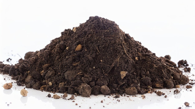 pile of soil isolated on white isolated