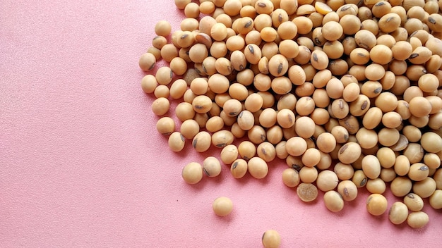 Photo a pile soybeans isolated on pink background. glycine max is the best nut for protein intake