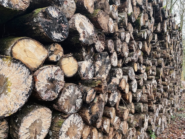 Photo a pile stacked natural sawn wooden logs