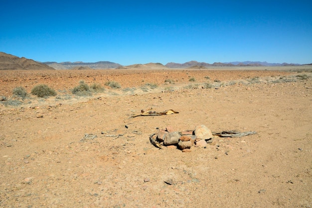 A pile of stones and bushes in the desert in the bright sun