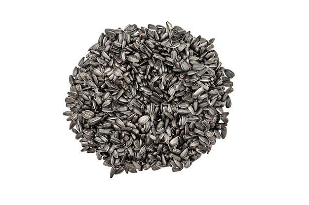 Pile of sunflower seeds on white Top view