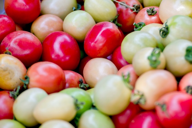 A pile of tomatoes. Summer tray market agriculture farm full of organic tomatoes