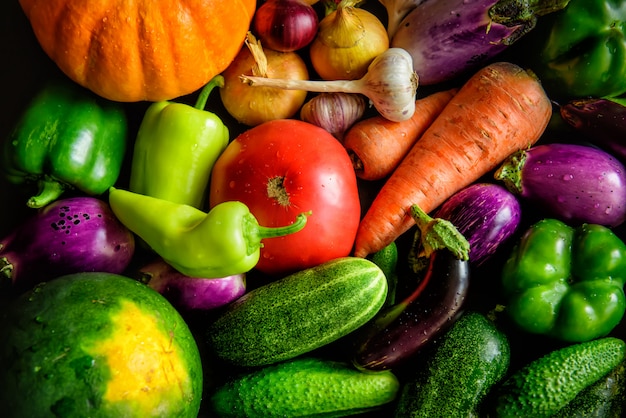 A pile of various vegetables on the table