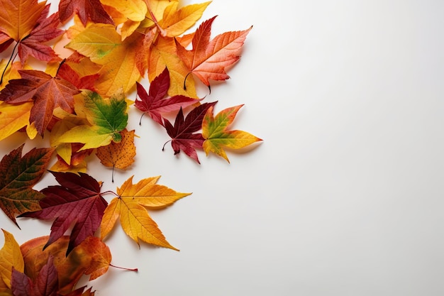 Pile of vibrant autumn leaves