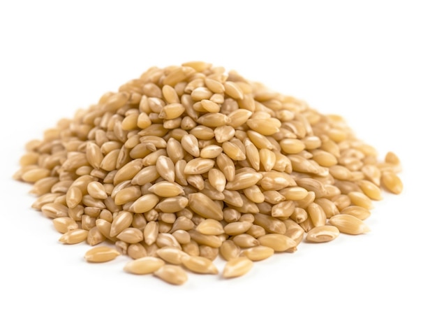 A pile of wheat seeds on a white background