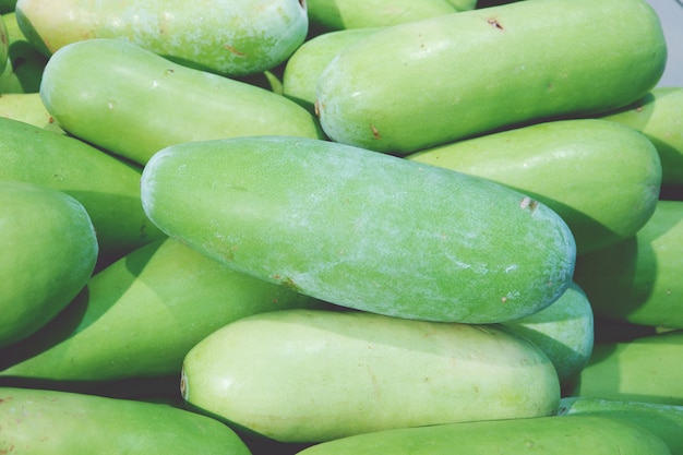 Pile of winter melon in fresh market