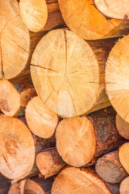 Pile of wood forming a wall. Ecology and deforestation problems in nature.