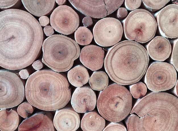 Pile of wood logs ready for winter