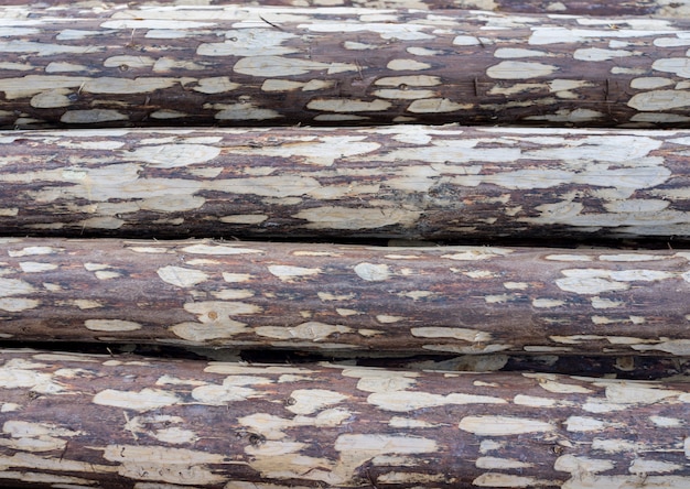 木材の杭は冬の準備ができています