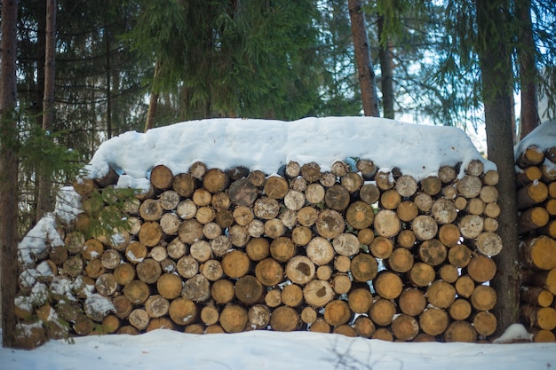 冬の準備ができている木の丸太の山