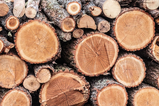 Pile of wood logs stumps for winter. Logging timber wood industry.