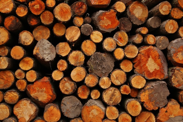 Pile of wood logs